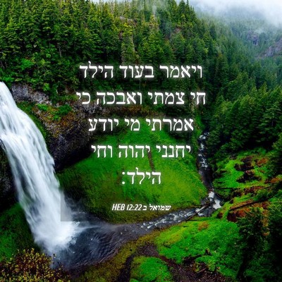 Picture 04 - שמואל ב 12:22 HEB - ויאמר בעוד הילד חי צמתי - Bible Verse Picture