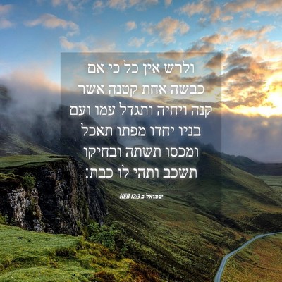 Picture 04 - שמואל ב 12:3 HEB - ולרש אין כל כי אם כבשה אחת - Bible Verse Picture