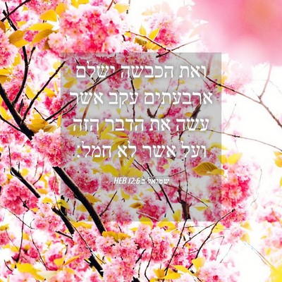 Picture 04 - שמואל ב 12:6 HEB - ואת הכבשה ישלם ארבעתים עקב - Bible Verse Picture