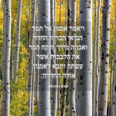 Picture 04 - שמואל ב 13:10 HEB - ויאמר אמנון אל תמר הביאי - Bible Verse Picture