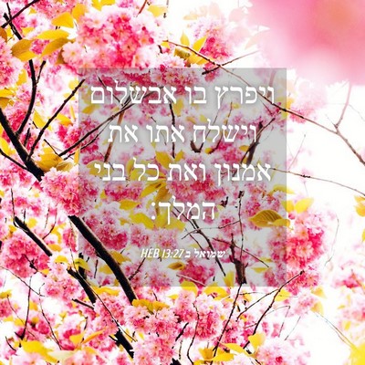 Picture 04 - שמואל ב 13:27 HEB - ויפרץ בו אבשלום וישלח אתו - Bible Verse Picture