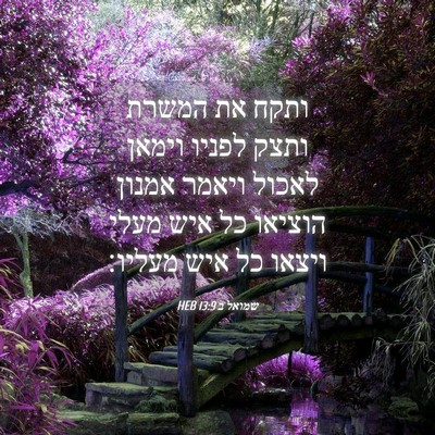 Picture 04 - שמואל ב 13:9 HEB - ותקח את המשרת ותצק לפניו - Bible Verse Picture