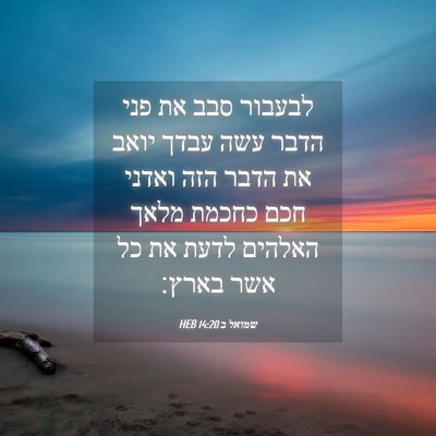 Picture 04 - שמואל ב 14:20 HEB - לבעבור סבב את פני הדבר עשה - Bible Verse Picture