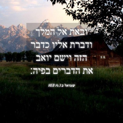 Picture 04 - שמואל ב 14:3 HEB - ובאת אל המלך ודברת אליו - Bible Verse Picture