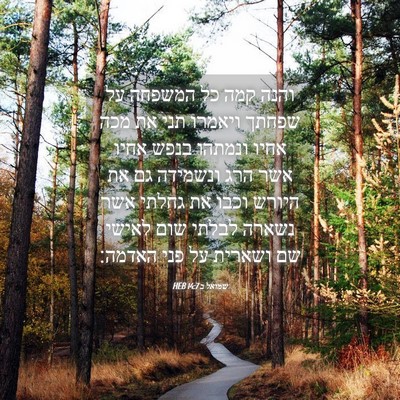 Picture 04 - שמואל ב 14:7 HEB - והנה קמה כל המשפחה על שפחתך - Bible Verse Picture