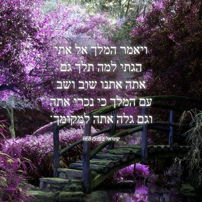 Picture 04 - שמואל ב 15:19 HEB - ויאמר המלך אל אתי הגתי למה - Bible Verse Picture