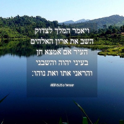 Picture 04 - שמואל ב 15:25 HEB - ויאמר המלך לצדוק השב את - Bible Verse Picture