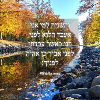 Picture 04 - שמואל ב 16:19 HEB - והשנית למי אני אעבד הלוא - Bible Verse Picture