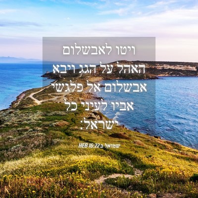 Picture 04 - שמואל ב 16:22 HEB - ויטו לאבשלום האהל על הגג - Bible Verse Picture