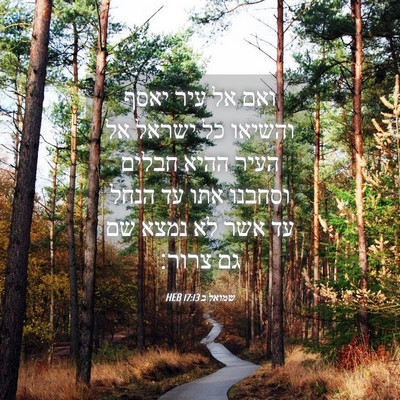Picture 04 - שמואל ב 17:13 HEB - ואם אל עיר יאסף והשיאו כל - Bible Verse Picture