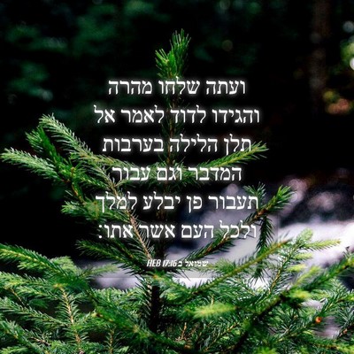 Picture 04 - שמואל ב 17:16 HEB - ועתה שלחו מהרה והגידו לדוד - Bible Verse Picture