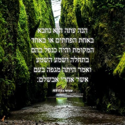 Picture 04 - שמואל ב 17:9 HEB - הנה עתה הוא נחבא באחת - Bible Verse Picture