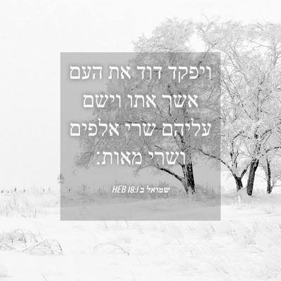Picture 04 - שמואל ב 18:1 HEB - ויפקד דוד את העם אשר אתו - Bible Verse Picture