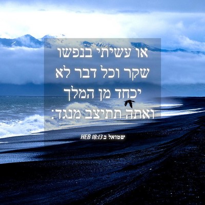 Picture 04 - שמואל ב 18:13 HEB - או עשיתי בנפשו שקר וכל דבר - Bible Verse Picture
