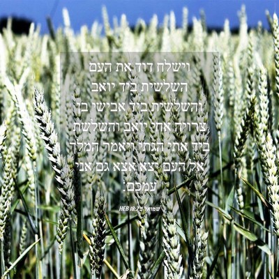 Picture 04 - שמואל ב 18:2 HEB - וישלח דוד את העם השלשית ביד - Bible Verse Picture
