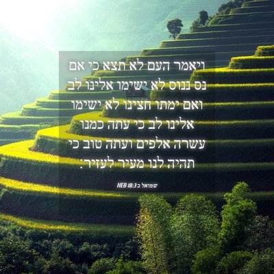 Picture 04 - שמואל ב 18:3 HEB - ויאמר העם לא תצא כי אם נס - Bible Verse Picture