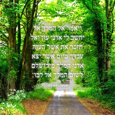 Picture 04 - שמואל ב 19:19 HEB - ויאמר אל המלך אל יחשב לי - Bible Verse Picture