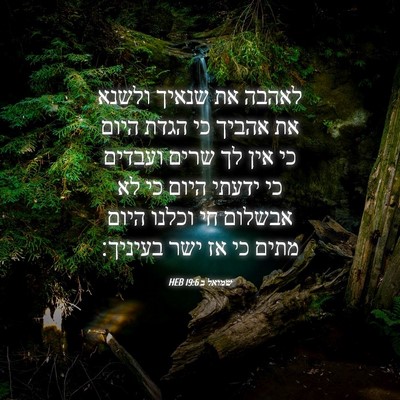 Picture 04 - שמואל ב 19:6 HEB - לאהבה את שנאיך ולשנא את - Bible Verse Picture