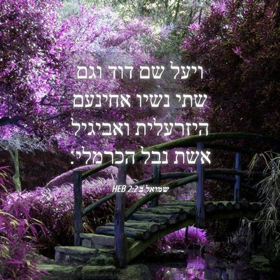 Picture 04 - שמואל ב 2:2 HEB - ויעל שם דוד וגם שתי נשיו - Bible Verse Picture