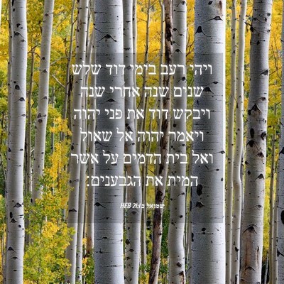 Picture 04 - שמואל ב 21:1 HEB - ויהי רעב בימי דוד שלש שנים - Bible Verse Picture