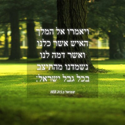 Picture 04 - שמואל ב 21:5 HEB - ויאמרו אל המלך האיש אשר - Bible Verse Picture