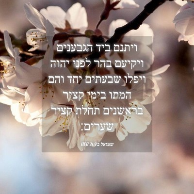 Picture 04 - שמואל ב 21:9 HEB - ויתנם ביד הגבענים ויקיעם - Bible Verse Picture