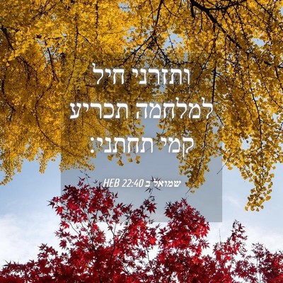 Picture 04 - שמואל ב 22:40 HEB - ותזרני חיל למלחמה תכריע - Bible Verse Picture