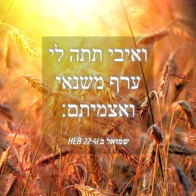 Picture 04 - שמואל ב 22:41 HEB - ואיבי תתה לי ערף משנאי - Bible Verse Picture