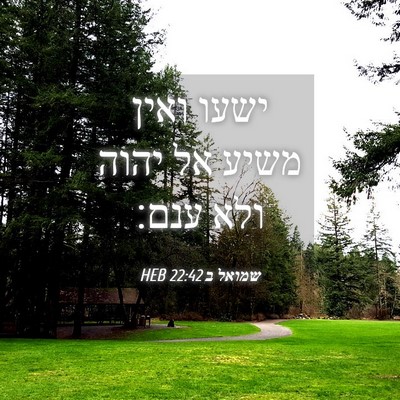 Picture 04 - שמואל ב 22:42 HEB - ישעו ואין משיע אל יהוה ולא - Bible Verse Picture