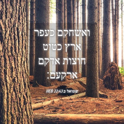 Picture 04 - שמואל ב 22:43 HEB - ואשחקם כעפר ארץ כטיט חוצות - Bible Verse Picture