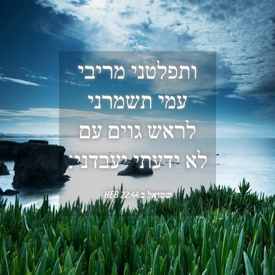 Picture 04 - שמואל ב 22:44 HEB - ותפלטני מריבי עמי תשמרני - Bible Verse Picture