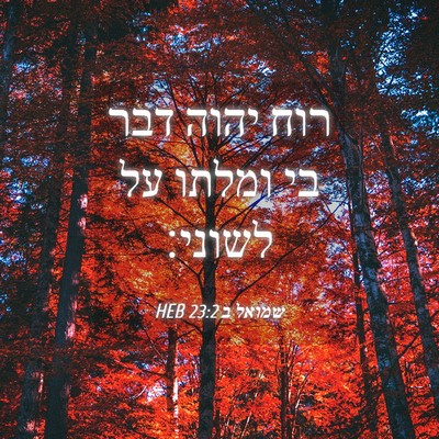 Picture 04 - שמואל ב 23:2 HEB - רוח יהוה דבר בי ומלתו על - Bible Verse Picture