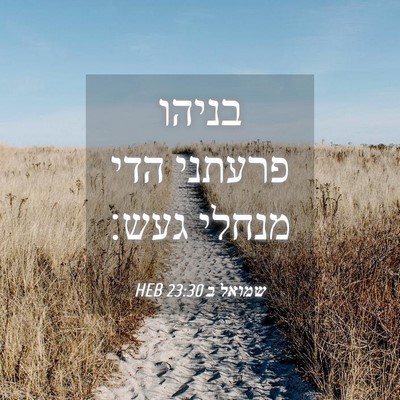 Picture 04 - שמואל ב 23:30 HEB - בניהו פרעתני הדי מנחלי - Bible Verse Picture