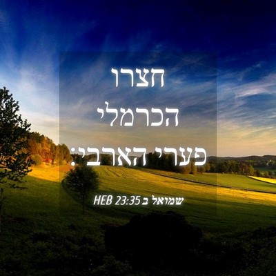 Picture 04 - שמואל ב 23:35 HEB - חצרו הכרמלי פערי - Bible Verse Picture