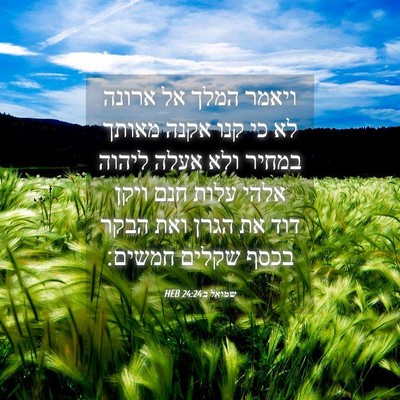 Picture 04 - שמואל ב 24:24 HEB - ויאמר המלך אל ארונה לא כי - Bible Verse Picture