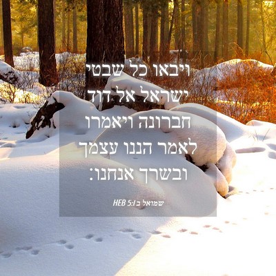 Picture 04 - שמואל ב 5:1 HEB - ויבאו כל שבטי ישראל אל דוד - Bible Verse Picture