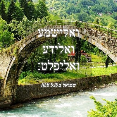 Picture 04 - שמואל ב 5:16 HEB - ואלישמע ואלידע - Bible Verse Picture