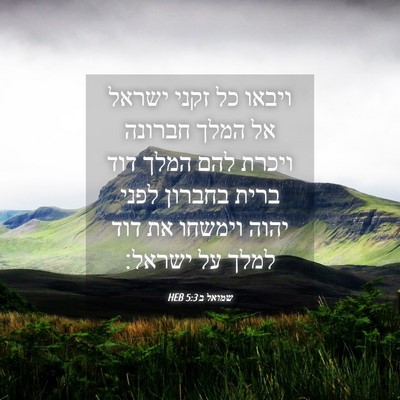 Picture 04 - שמואל ב 5:3 HEB - ויבאו כל זקני ישראל אל המלך - Bible Verse Picture