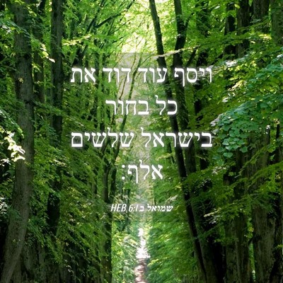 Picture 04 - שמואל ב 6:1 HEB - ויסף עוד דוד את כל בחור - Bible Verse Picture