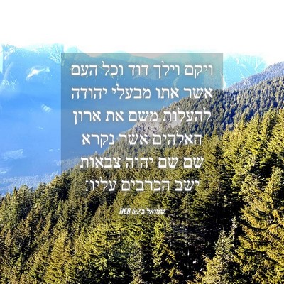 Picture 04 - שמואל ב 6:2 HEB - ויקם וילך דוד וכל העם אשר - Bible Verse Picture
