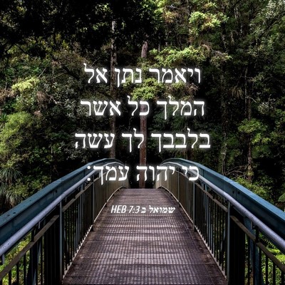Picture 04 - שמואל ב 7:3 HEB - ויאמר נתן אל המלך כל אשר - Bible Verse Picture