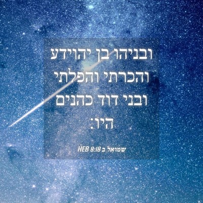 Picture 04 - שמואל ב 8:18 HEB - ובניהו בן יהוידע והכרתי - Bible Verse Picture