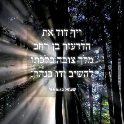 Picture 04 - שמואל ב 8:3 HEB - ויך דוד את הדדעזר בן רחב - Bible Verse Picture