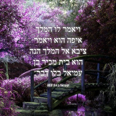 Picture 04 - שמואל ב 9:4 HEB - ויאמר לו המלך איפה הוא - Bible Verse Picture