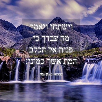 Picture 04 - שמואל ב 9:8 HEB - וישתחו ויאמר מה עבדך כי - Bible Verse Picture