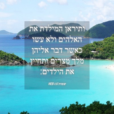 Picture 04 - שמות 1:17 HEB - ותיראן המילדת את האלהים - Bible Verse Picture