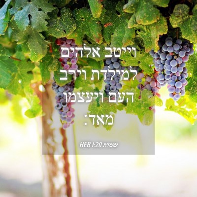 Picture 04 - שמות 1:20 HEB - וייטב אלהים למילדת וירב - Bible Verse Picture