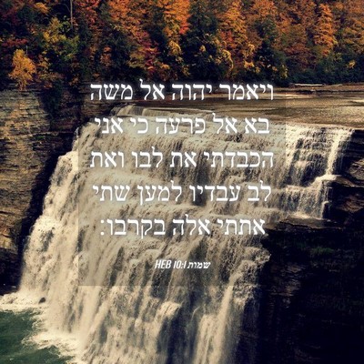 Picture 04 - שמות 10:1 HEB - ויאמר יהוה אל משה בא אל - Bible Verse Picture