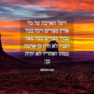 Picture 04 - שמות 10:14 HEB - ויעל הארבה על כל ארץ מצרים - Bible Verse Picture
