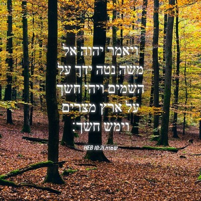 Picture 04 - שמות 10:21 HEB - ויאמר יהוה אל משה נטה ידך - Bible Verse Picture